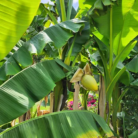 Chez Particulier Avec Petit Dejeuner, Piscine, Pool House