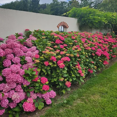 ホームステイ Chez Particulier Avec Petit Dejeuner, Piscine, Pool House Saint-Pierre-de-Manneville