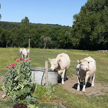ホームステイ Chez Particulier Avec Petit Dejeuner, Piscine, Pool House *